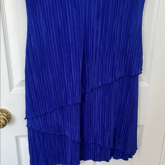 Blue Ribbed Dress - Picture 9 of 9